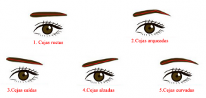 cejas