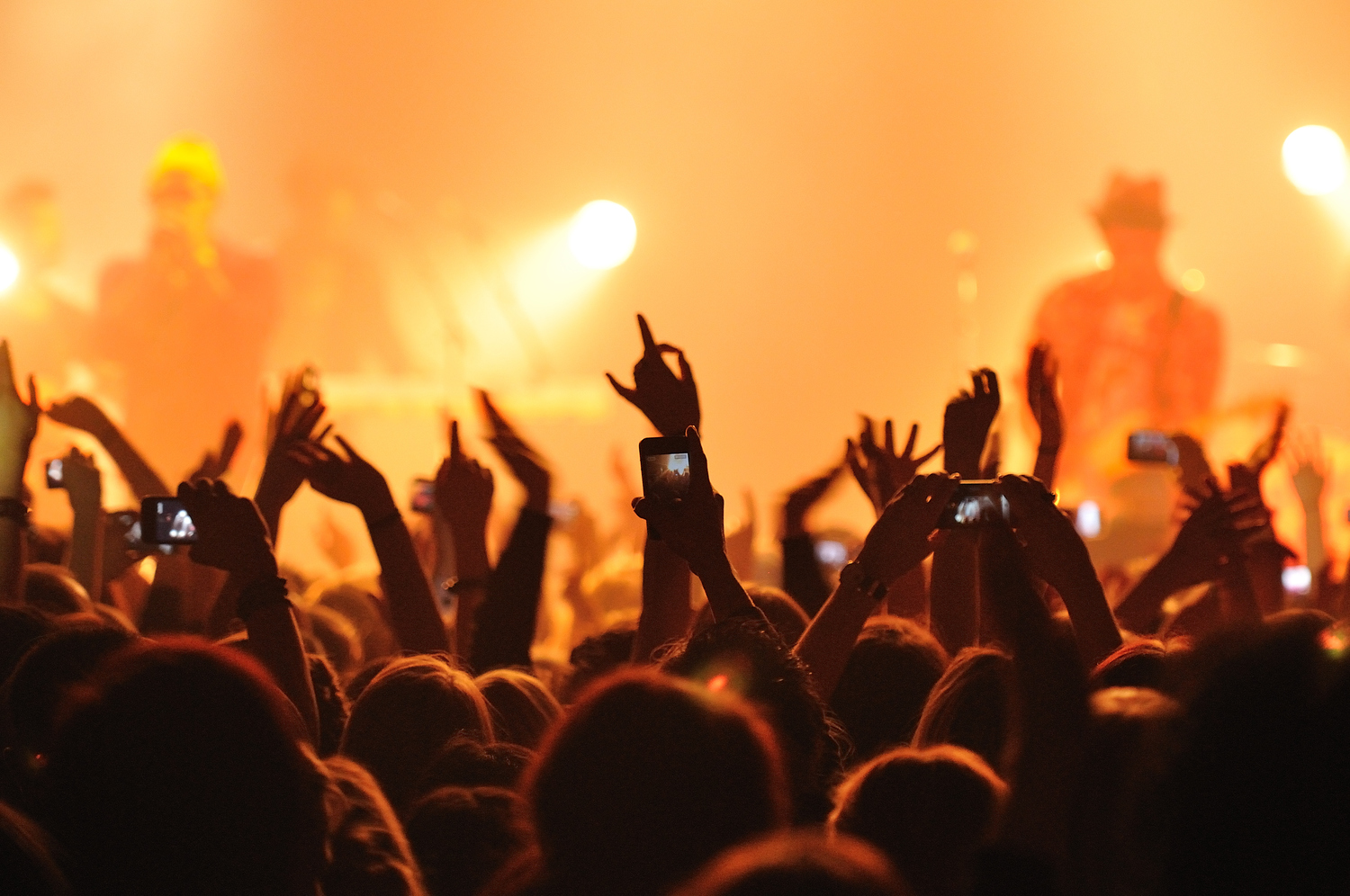 Cheering crowd at a concert