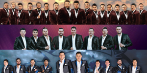 Banda MS