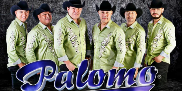 Palomo