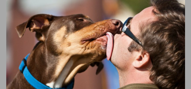 Hombre pierde extremidades al permitir que su perro lo lamiera