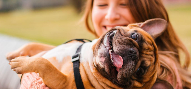 Formas en las que puedes mejorar tu día junto a tu perro