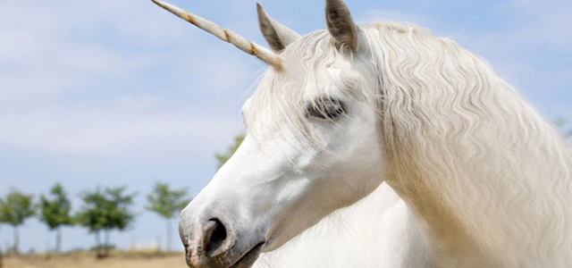 Científicos hallan unicornio que habitó la Tierra