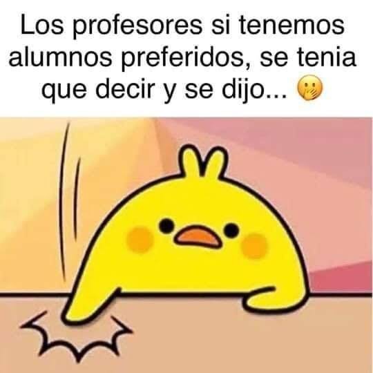 meme del pollo