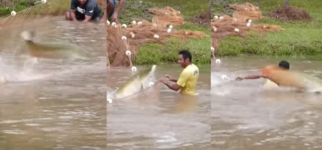 pescadores