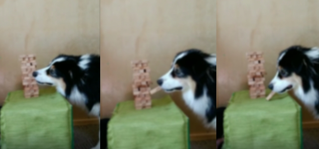 jenga