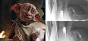 Dobby