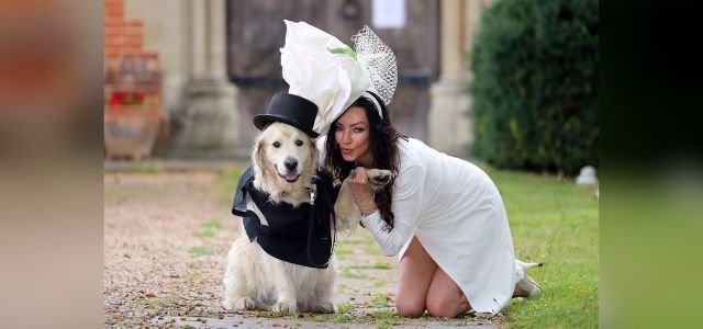 Ex modelo se casa con su perro