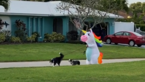 disfraz de unicornio