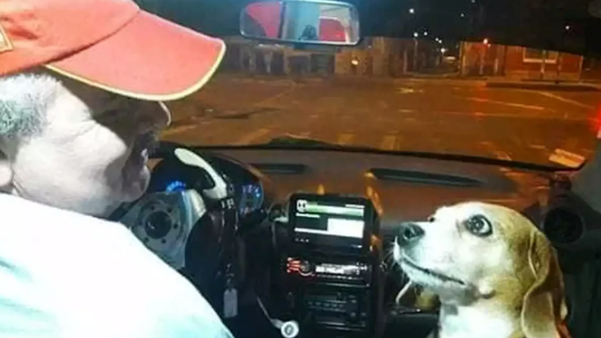 Perrita acompaña a su dueño a trabajar en el taxi todas las noches