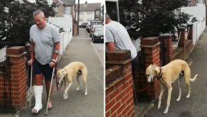 Lleva a su perrito al veterinario y descubre que cojeaba porque lo imitaba