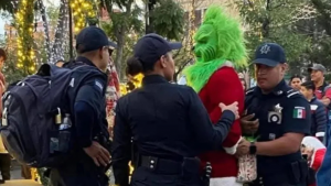 Grinch detenido